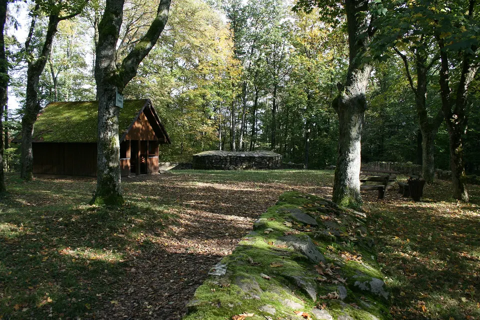 Burgruine Schnellerts