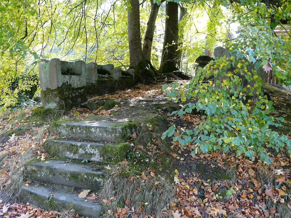 Hainhaus 6 Sessel