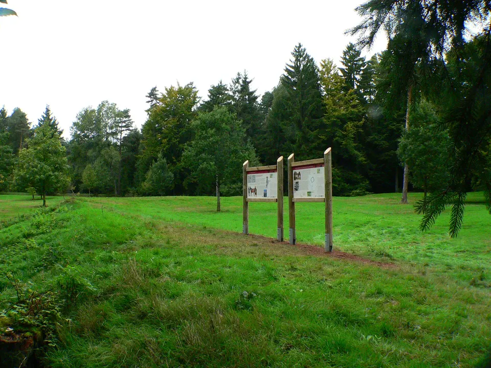 Numeruskastell Würzberg
